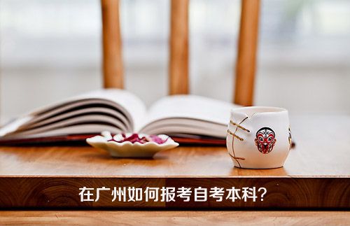 报考自考本科