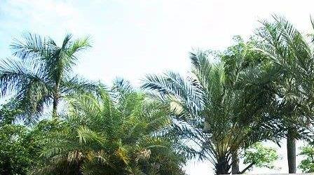 华南理工大学广州学院怎么样好吗是几本?学院口碑如何?学费多少